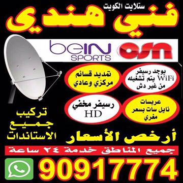 فني هندي