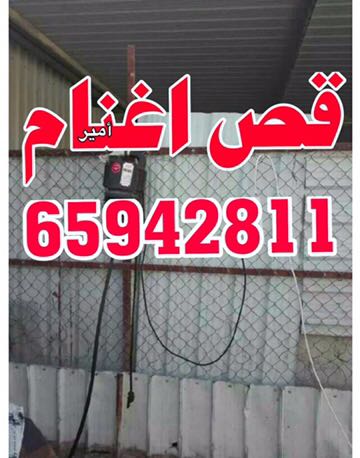 جز اغنام وتقليم أظافر