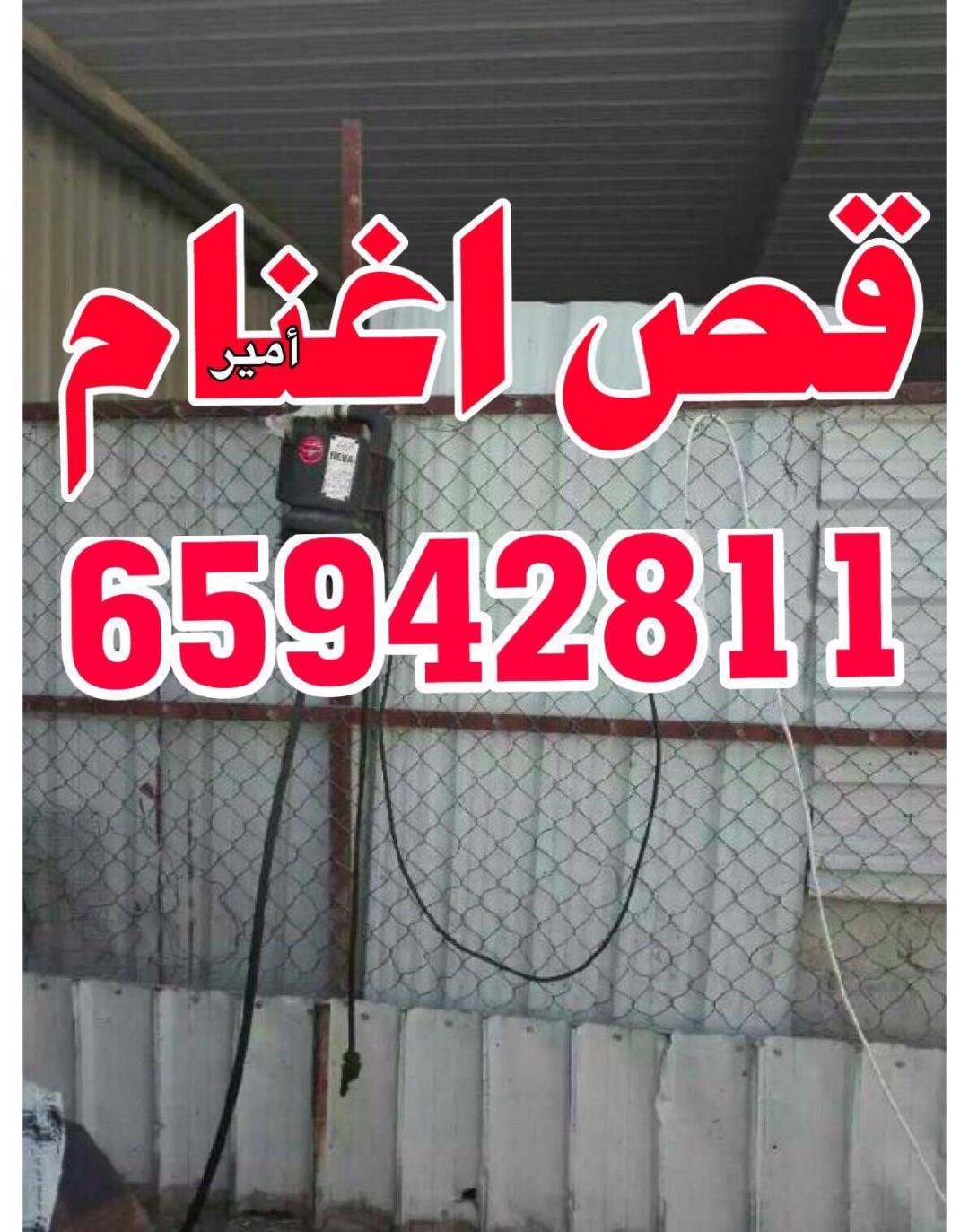 قص اغنام امير 65942811