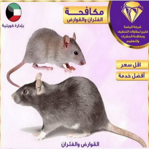 مكافحة حشرات الجهراء - مكافحة حشرات - بالكويت 99114313 - مكافحة حشرات الكويت - شركة مكافحة حشرات - رقم مكافحة حشرات - مكافحة حشرات رخيص - مكافحة حشرات وقوارض